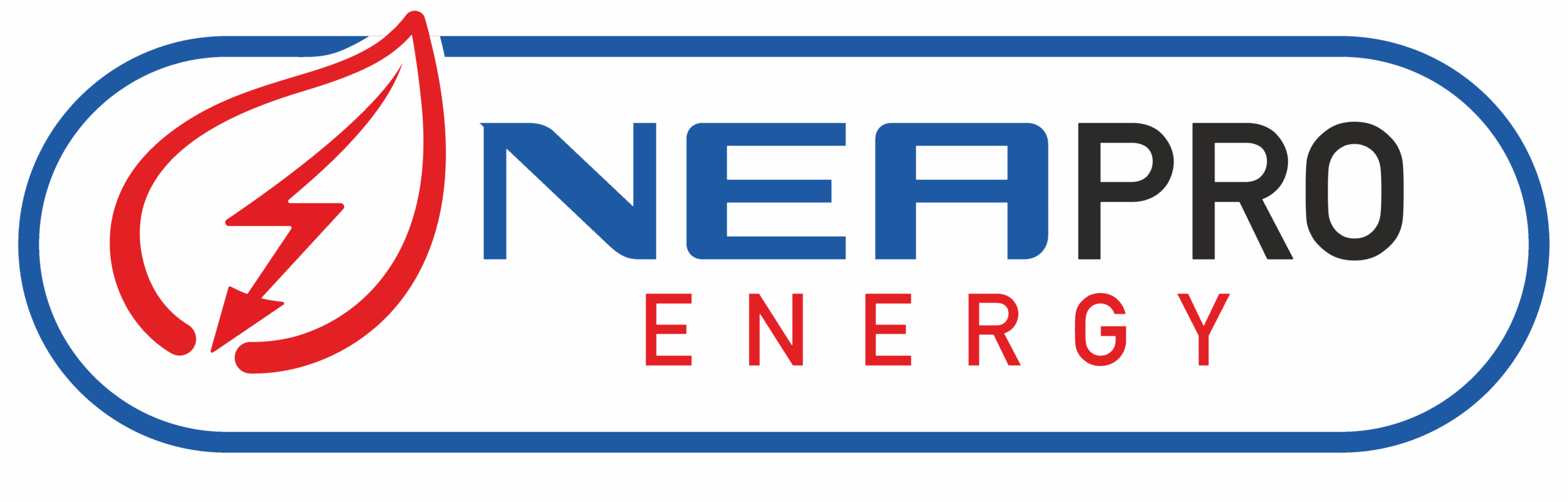 Logo-NEPRO